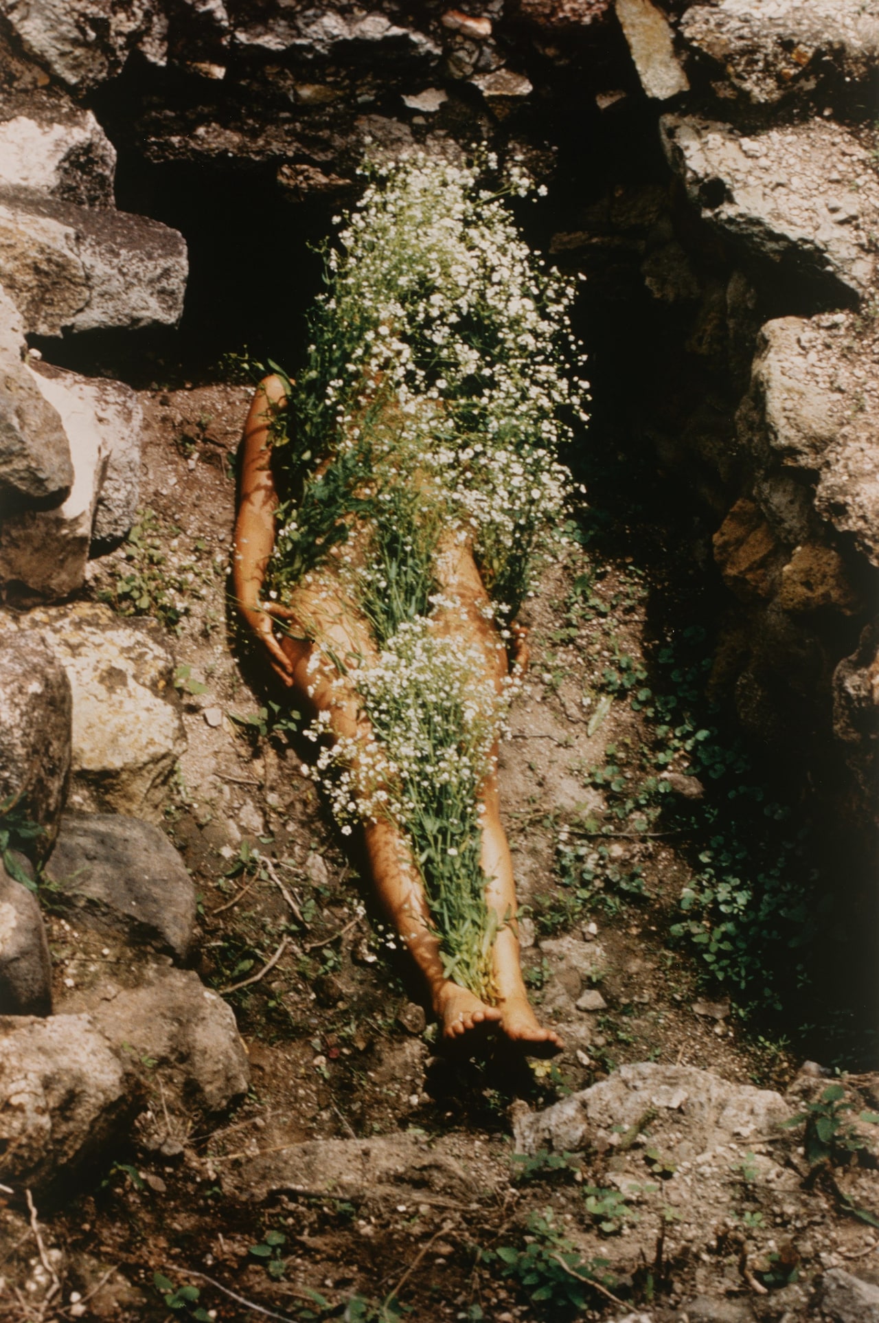 Laid Bare in the Landscape - Ana Mendieta