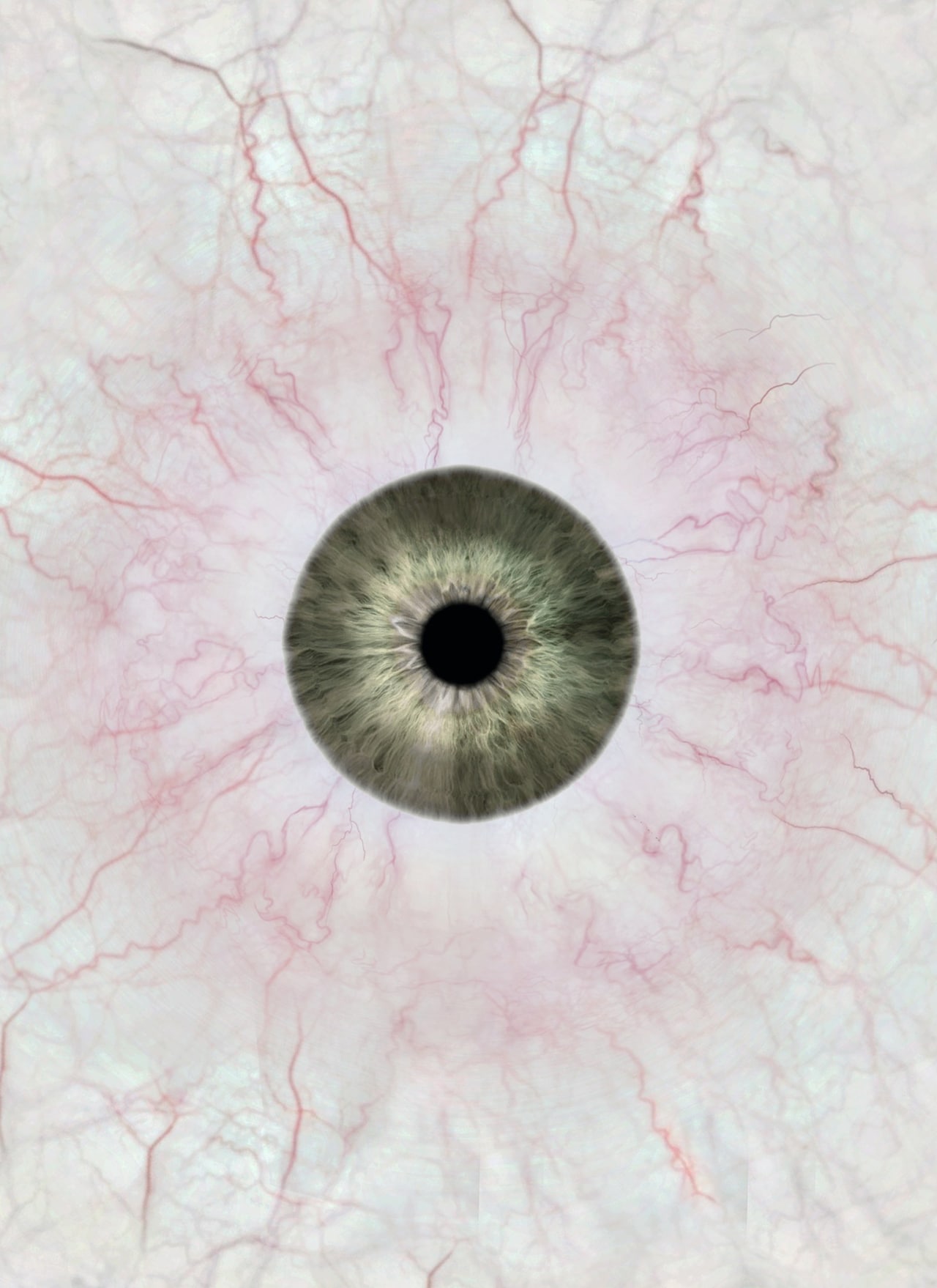 DB000_ F6_synthetic04_Web