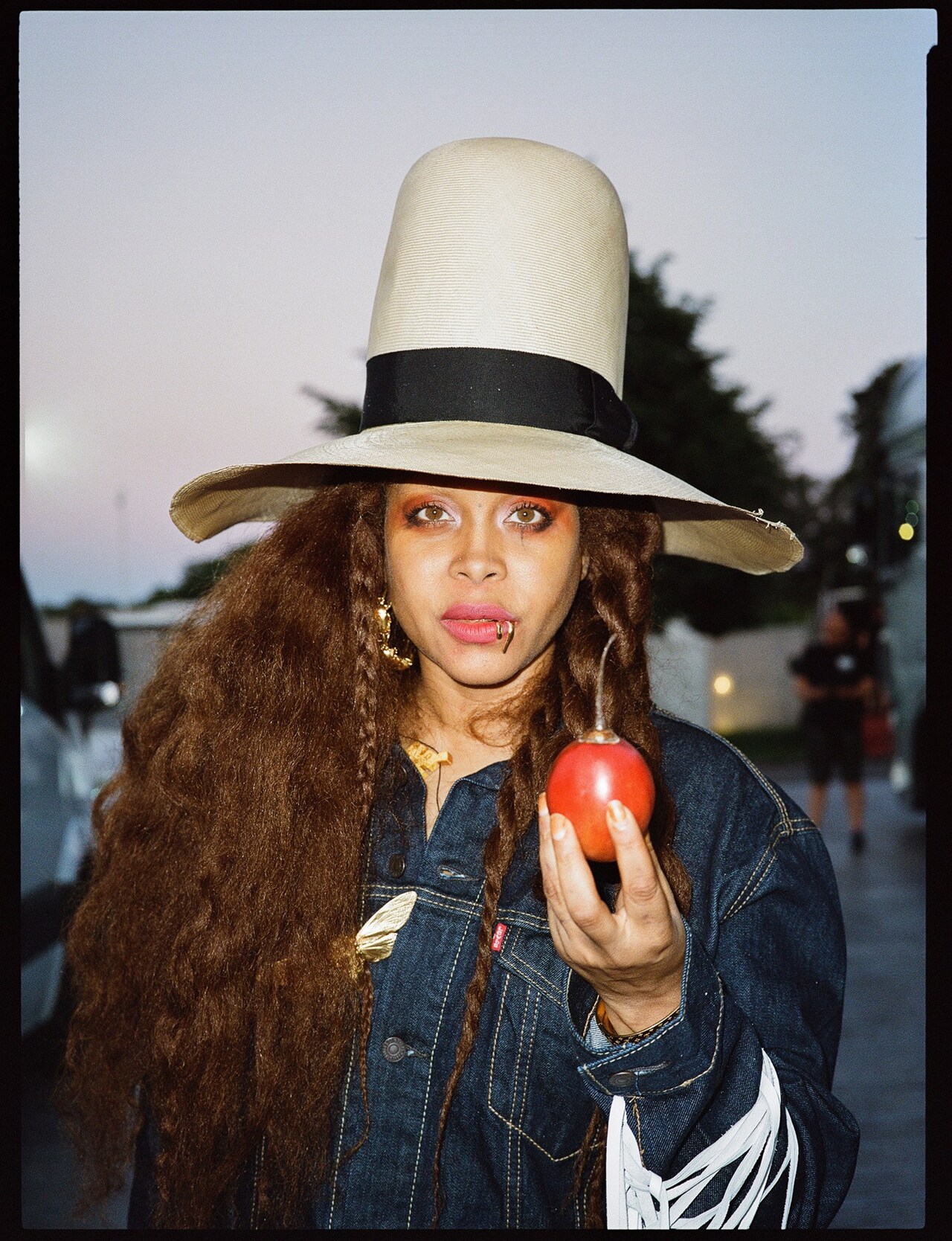 Futur Noir, Erykah Badu- Bourdeau (1)