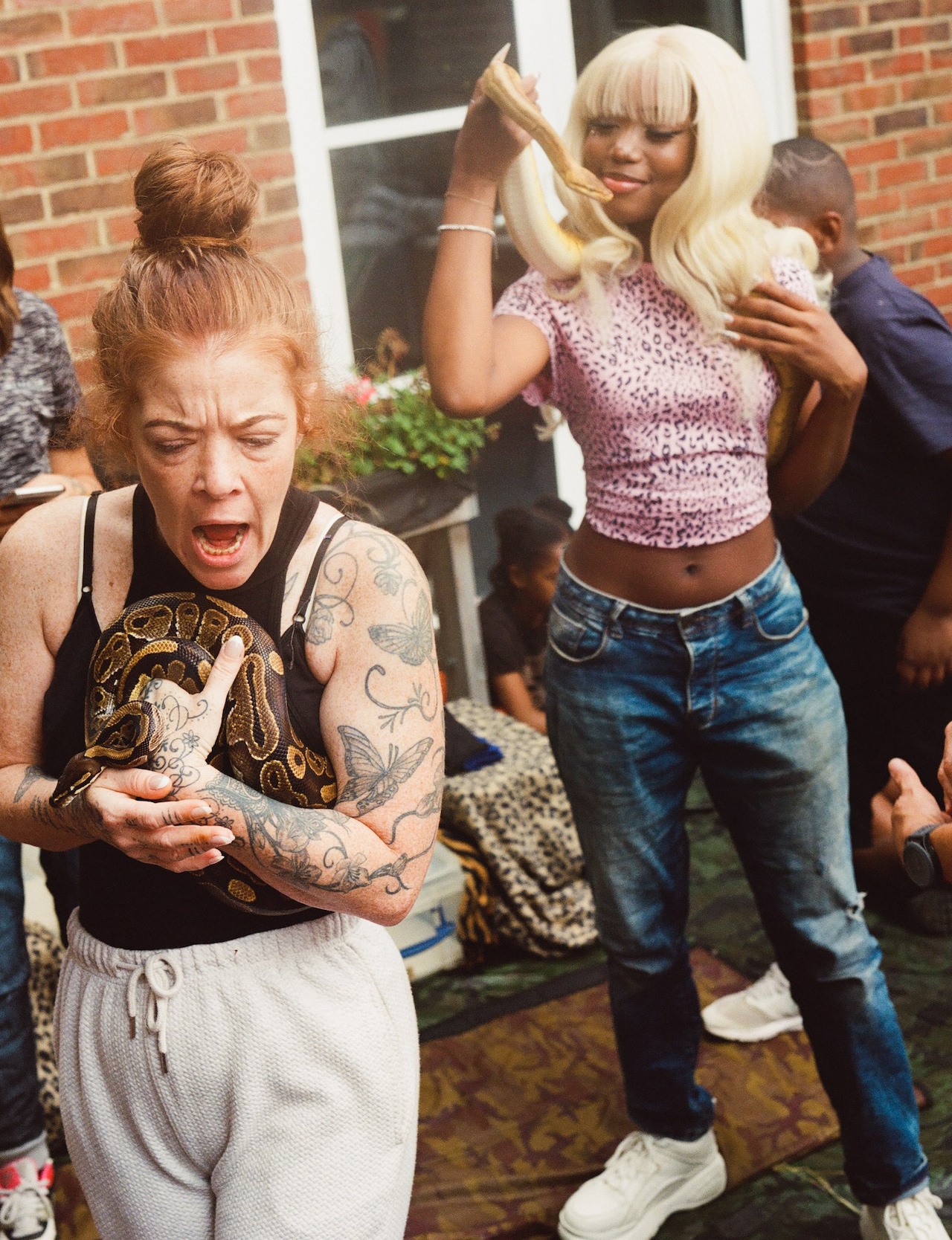 Grange Farm Book (2022)