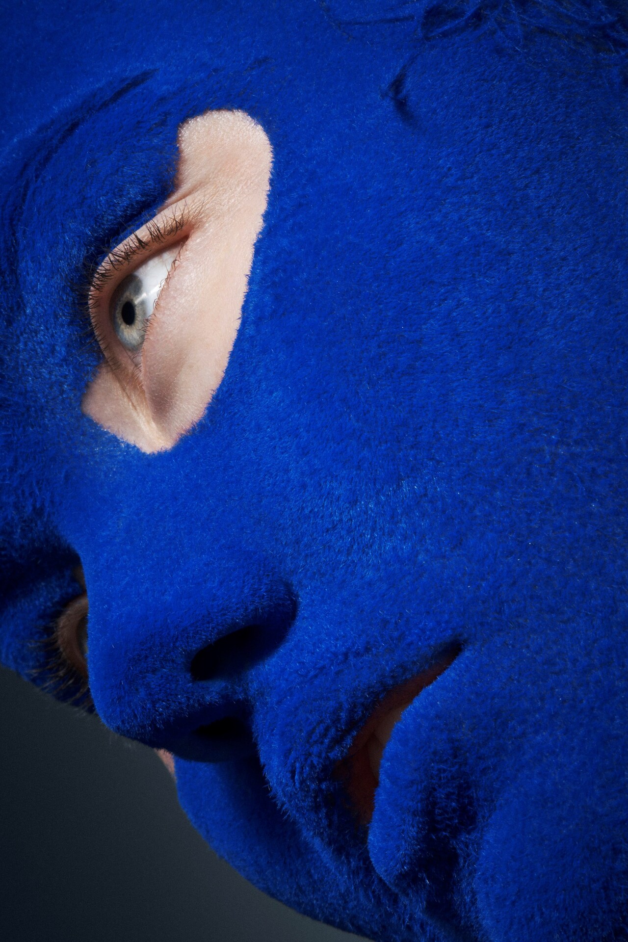 Andrew Gallimore flock