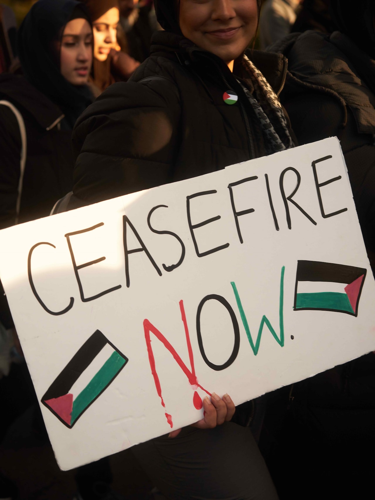 The pro-Palestine in London on 11 November 2023