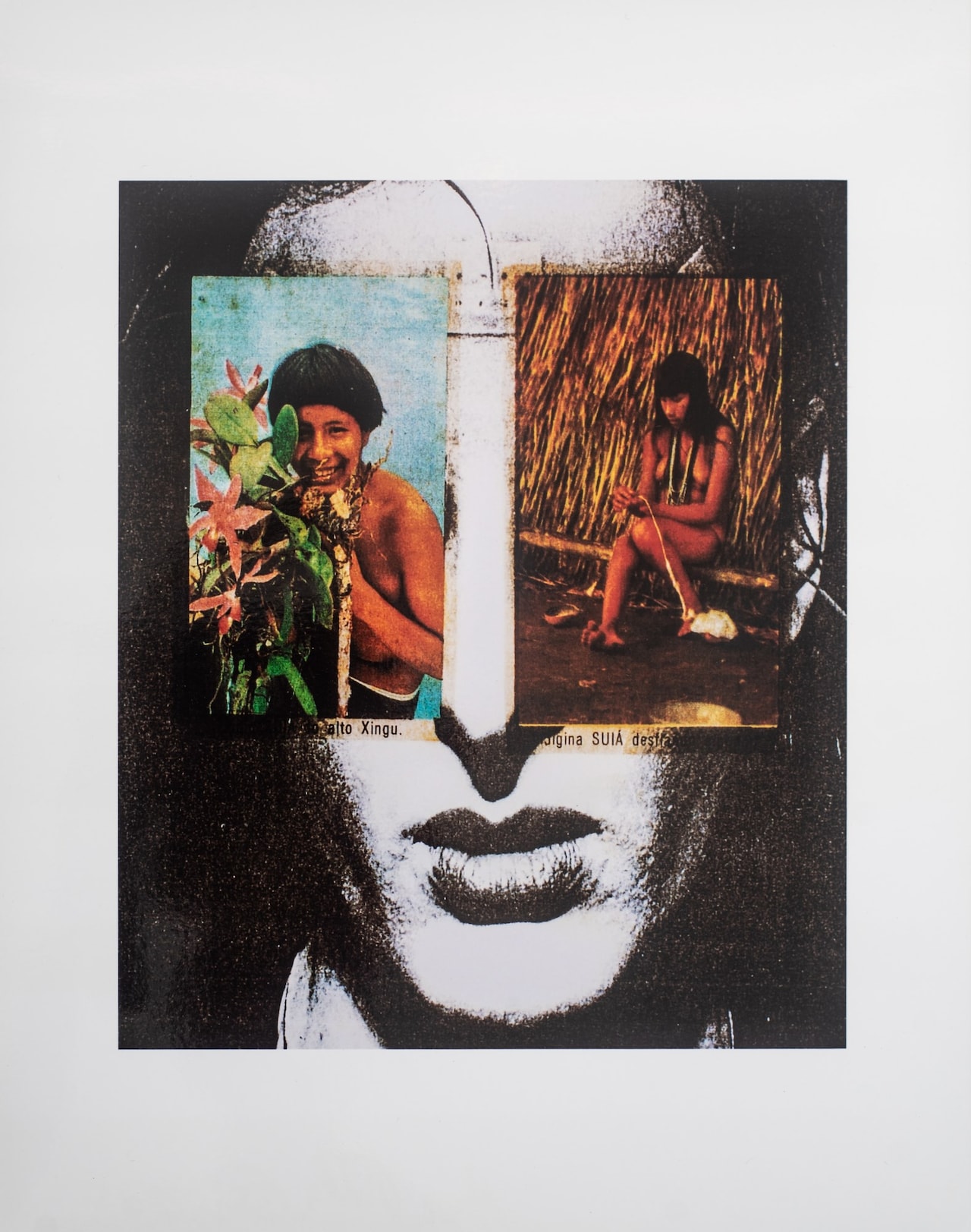 Anna Bella Geiger - Série História do Brasil Lit