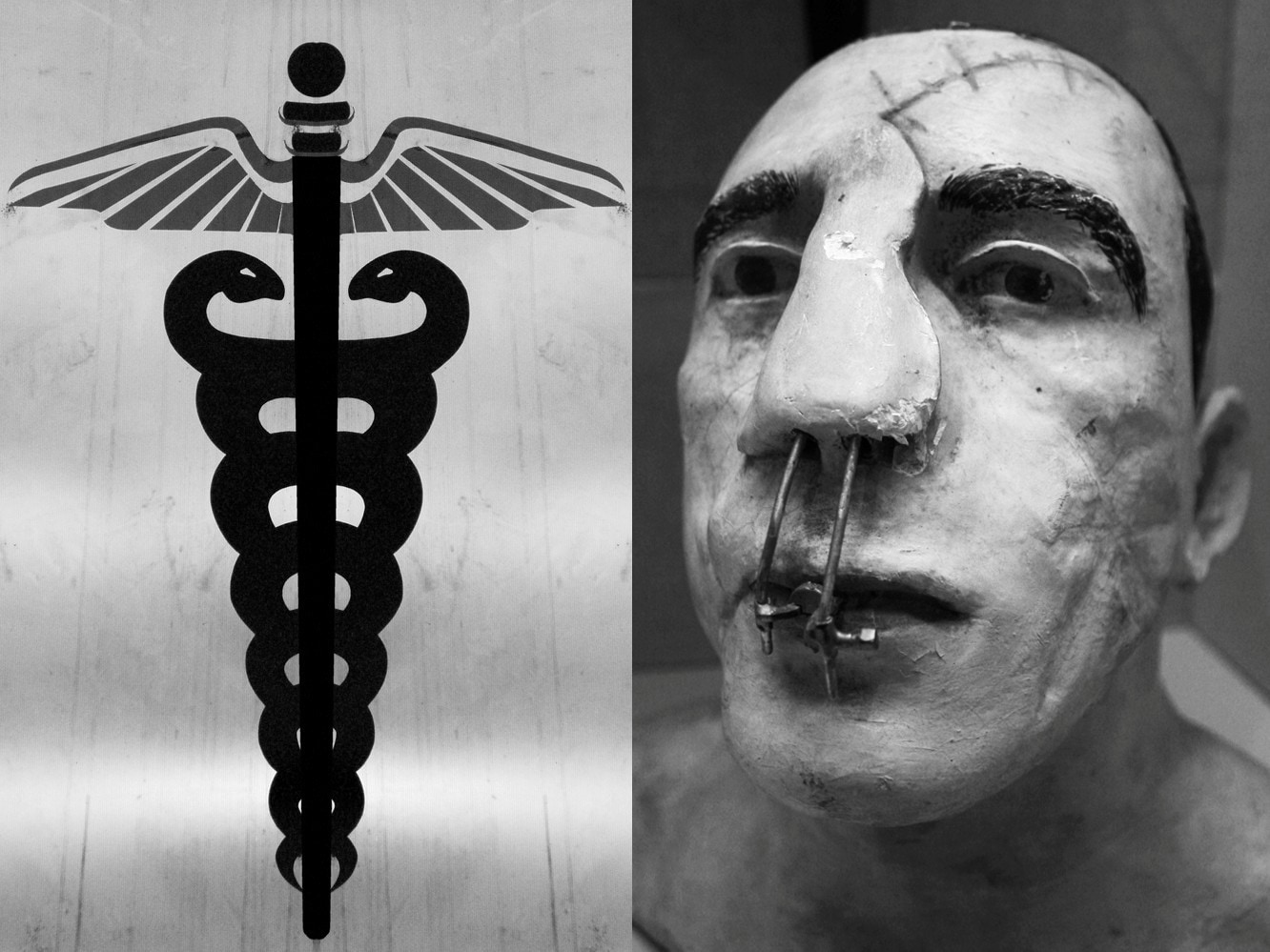 Jamie McLeod The Horse Hospital