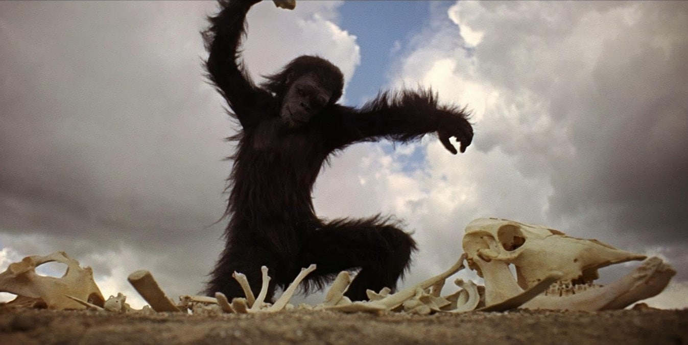 2001: A Space Odyssey still