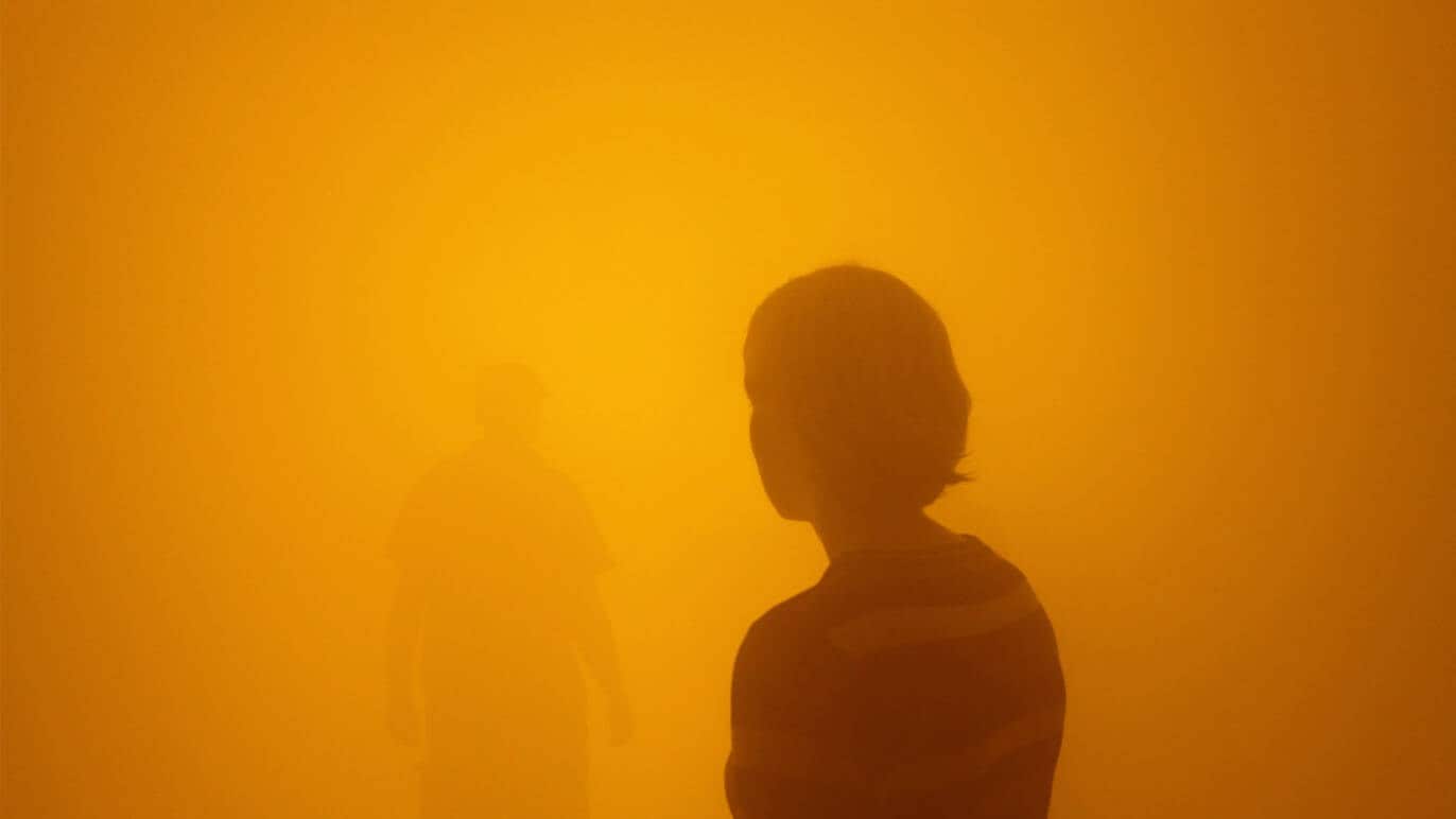 Olafur Eliasson, Your Blind Passenger, 2010