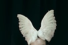 R0005622