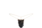 SKIMS-LOUNGWEAR-TH-THG-8207W-CLAY-BLACK-CURLY-FLT