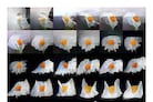 Trevor Paglen, EGGO (2017-ongoing)
