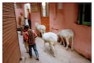 Sunil Gupta: Life with a Camera, 1970 to Now
