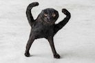 Eva  Franco Mattes, Cursed Cat (2025)