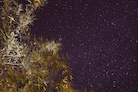 EYE_SKY-6