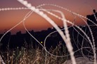 Greg Holland, Resistance: Art for a Free Palestine (2024)