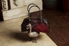 BURBERRY_2025_WINTER_25_RUNWAY_STILL_LIFE_sRGB_CRO