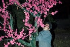 Feng Li, White Nights in Wonderland (2025)