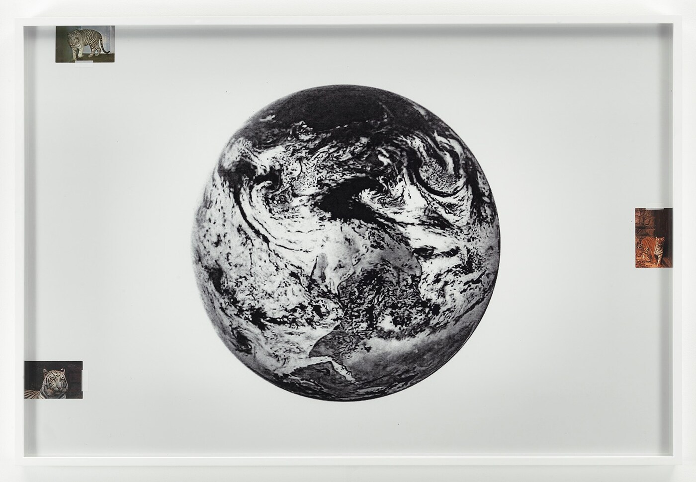 3_AmandaRoss-Ho_Negative_Earth