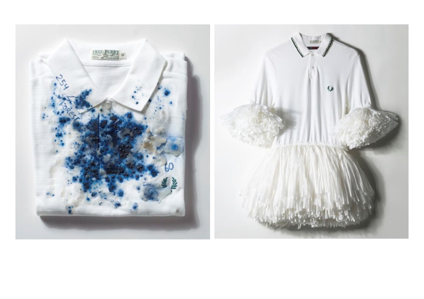 pierre debusschere sister by sibling