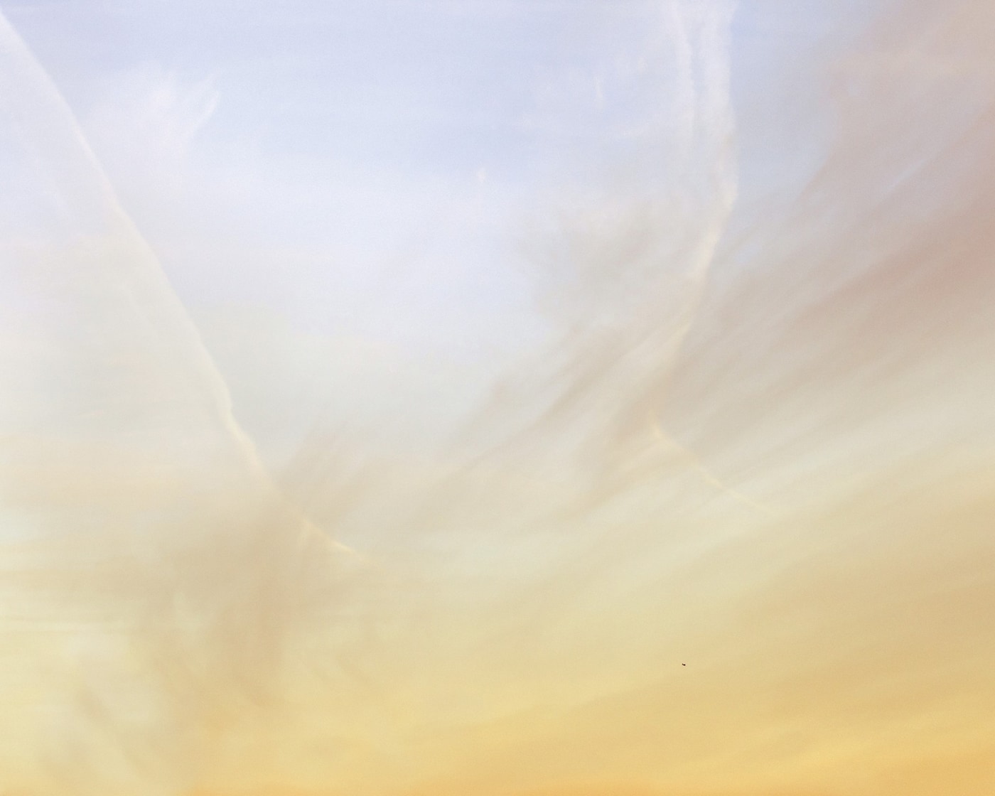 Untitled (Reaper Drone)