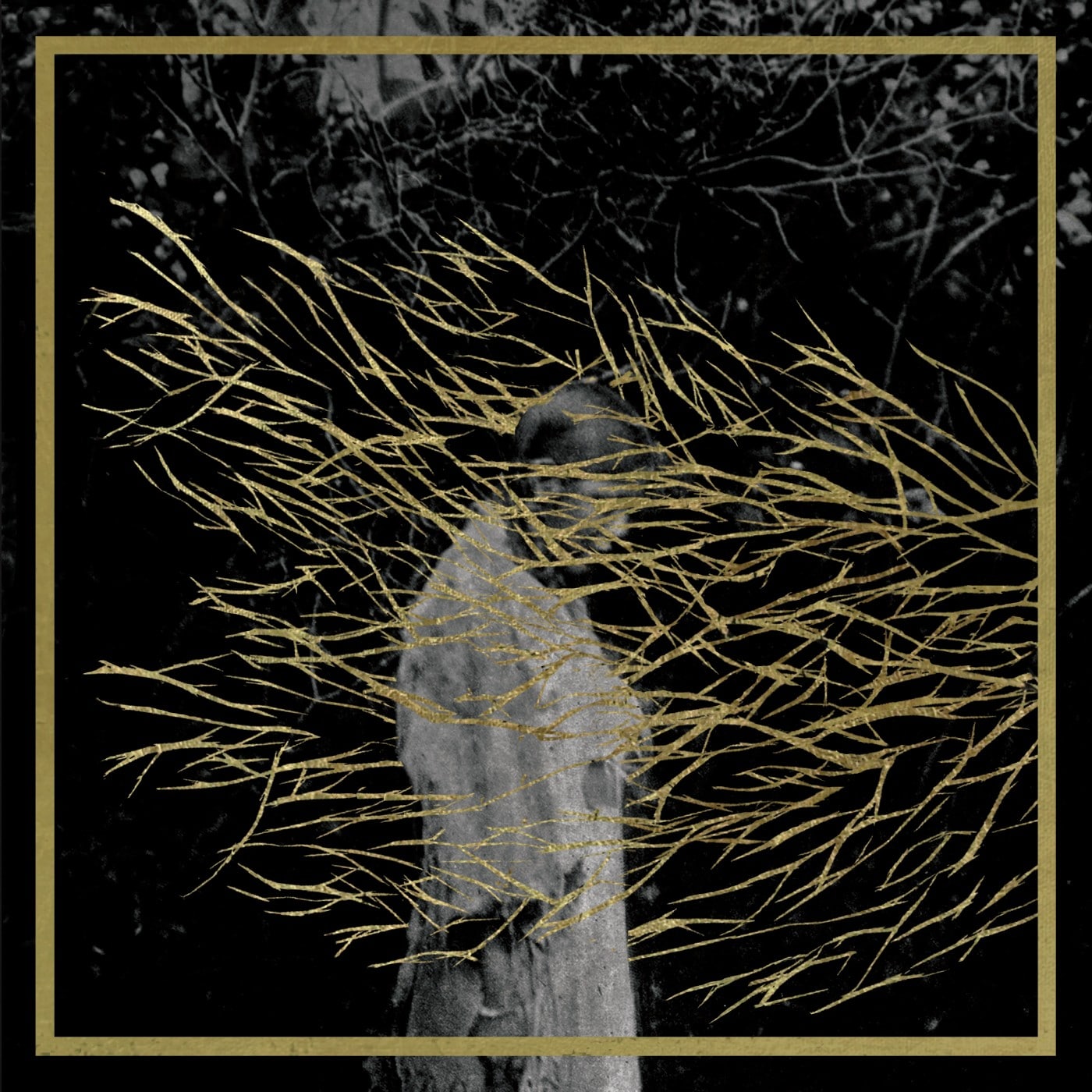 Forest Swords