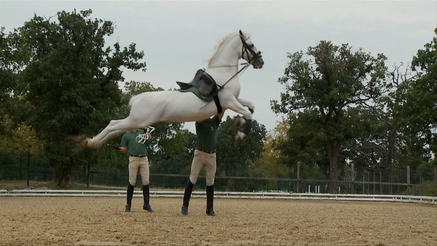 AirsAbovethe Ground13