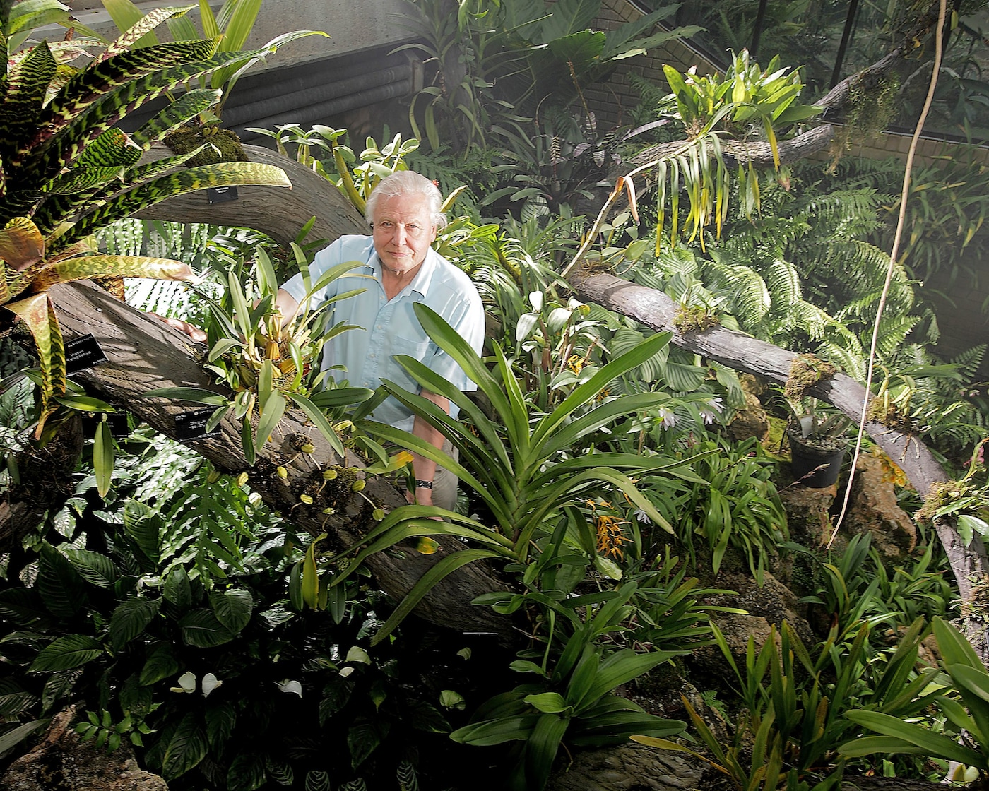 Attenborough-at-Kew-MAIN-PIC-copy1