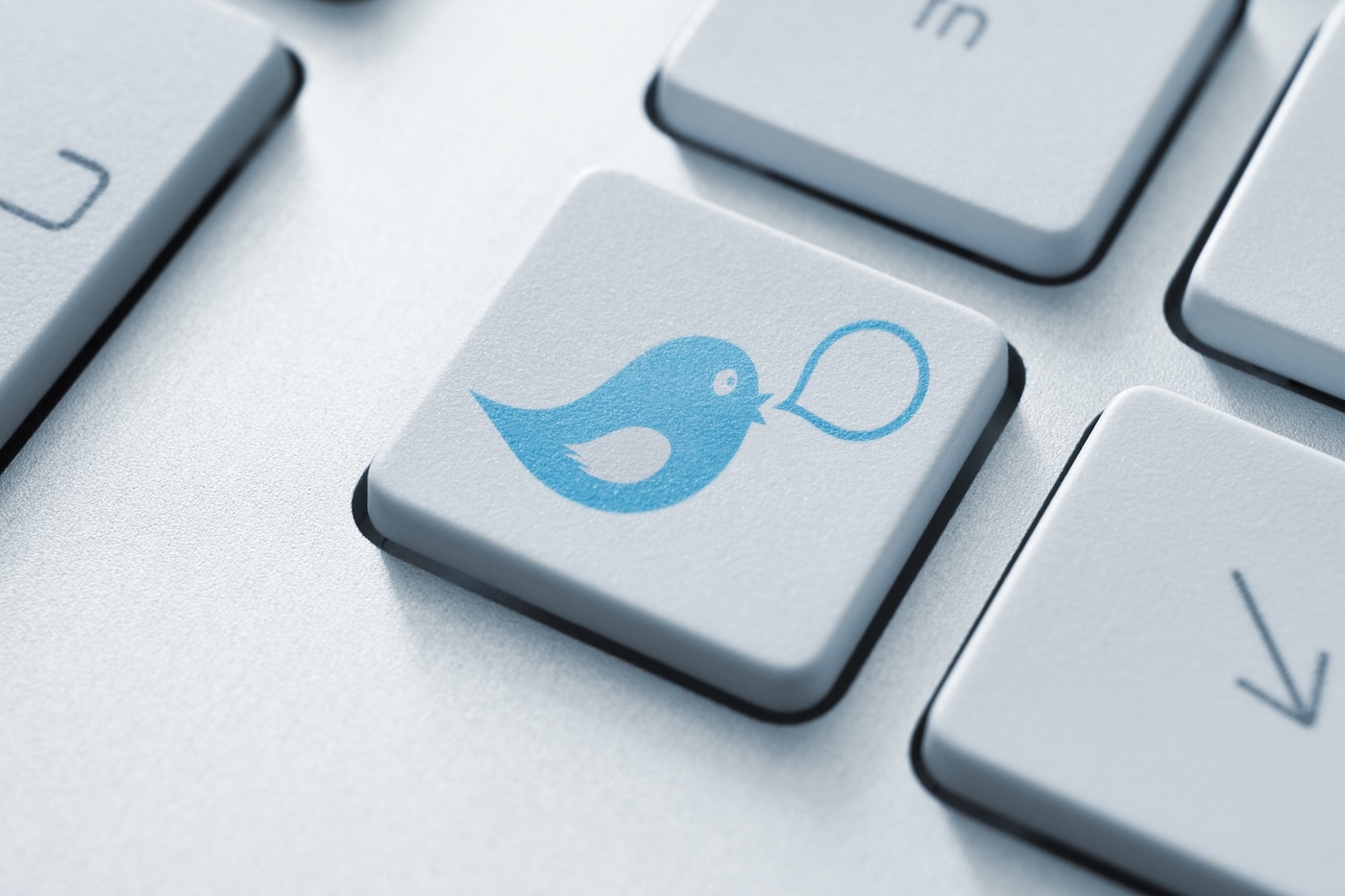 twitter-social-media-button-concept-pd-3268608