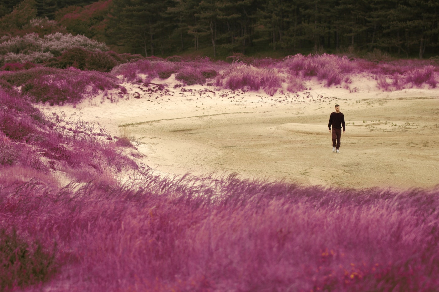 Redinho - Press Shot (credit Desiré van den Berg 