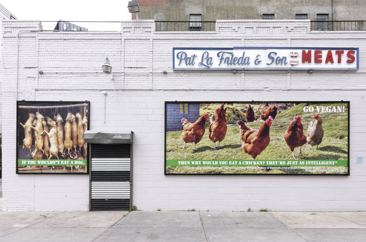 "If you wouldn't eat your dog...", 2010