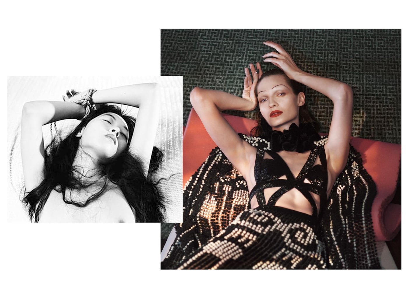 Nobuyoshi Araki vs Alexander McQueen SS15 campaign