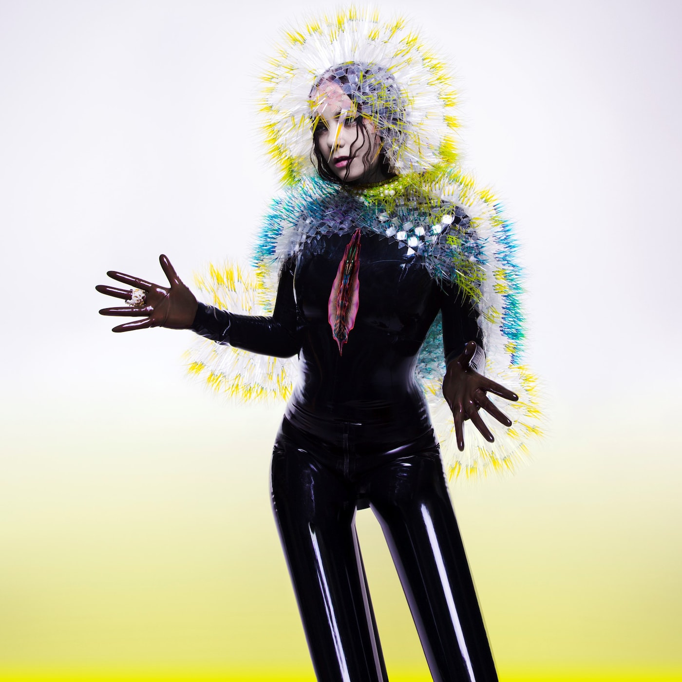 Bjork Inez van Lamsweerde and Vinoodh Matadin