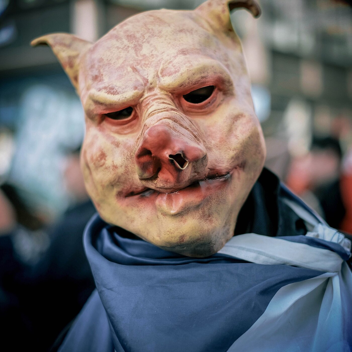 pig protest