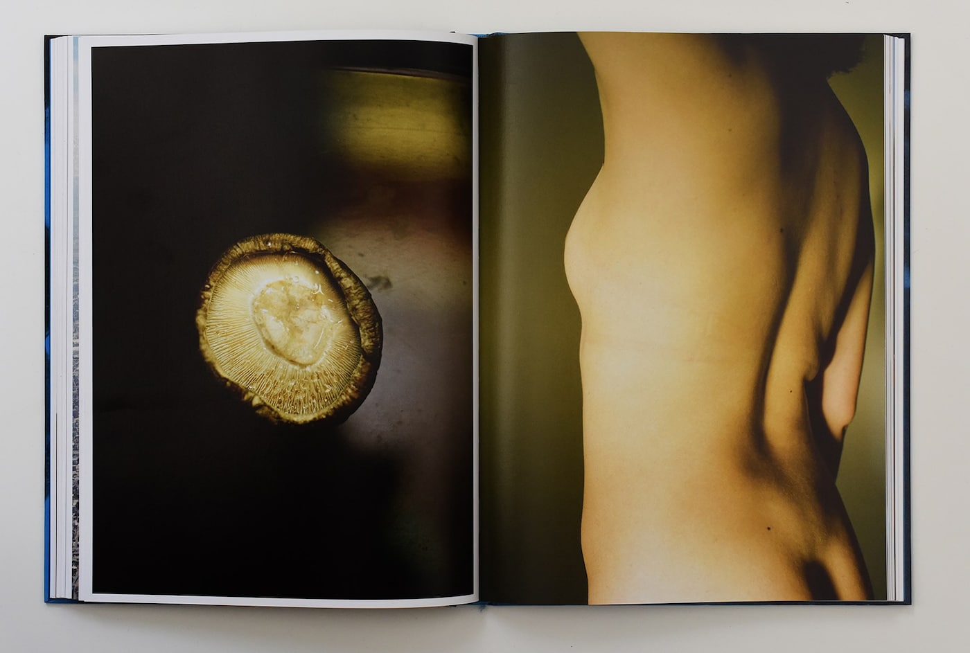 Courtesy José Pedro Cortes