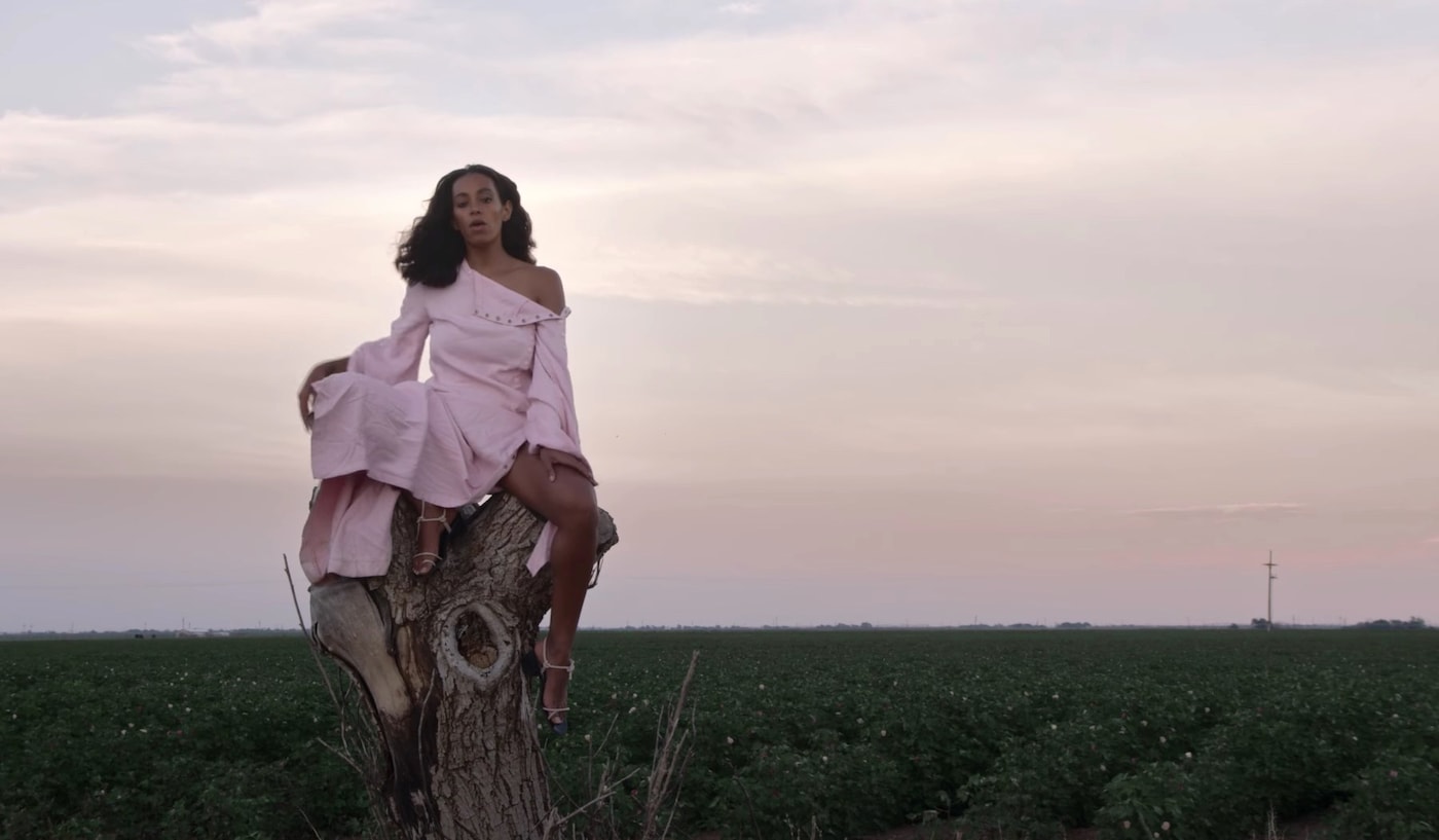 Solange Cranes Video