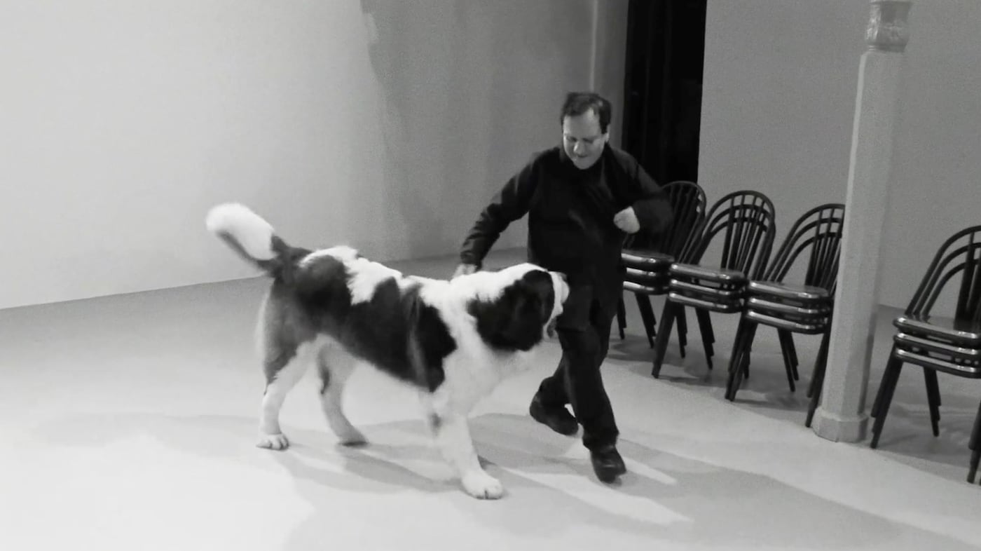 Azzedine Alaïa didine dog fashion 