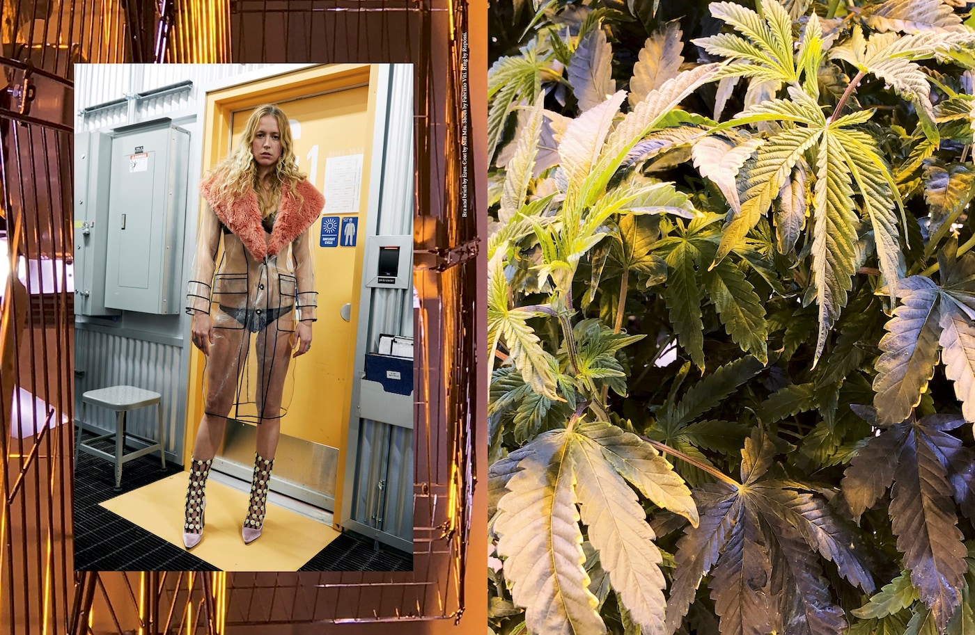 SYSTEM9_MarleyNaturalSupplement-5