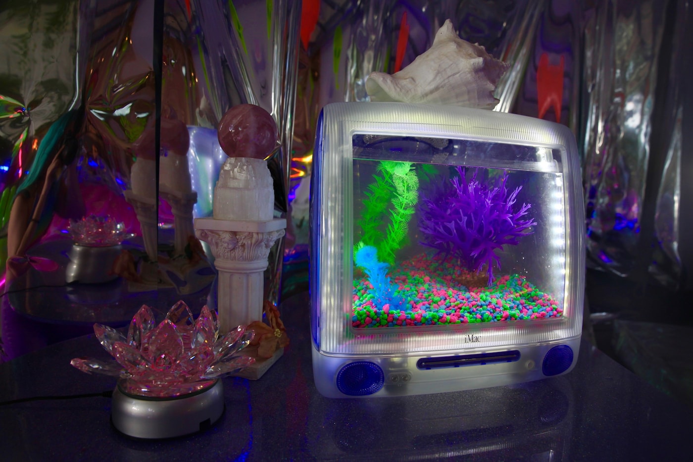 The Secret Paths to Marina Fini