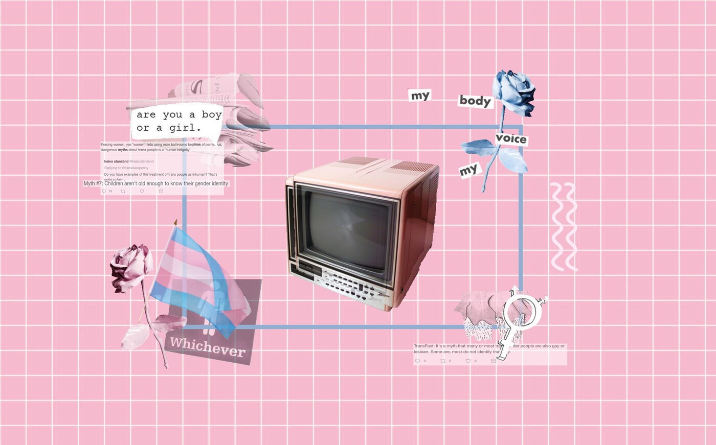 Anna graphicillustration