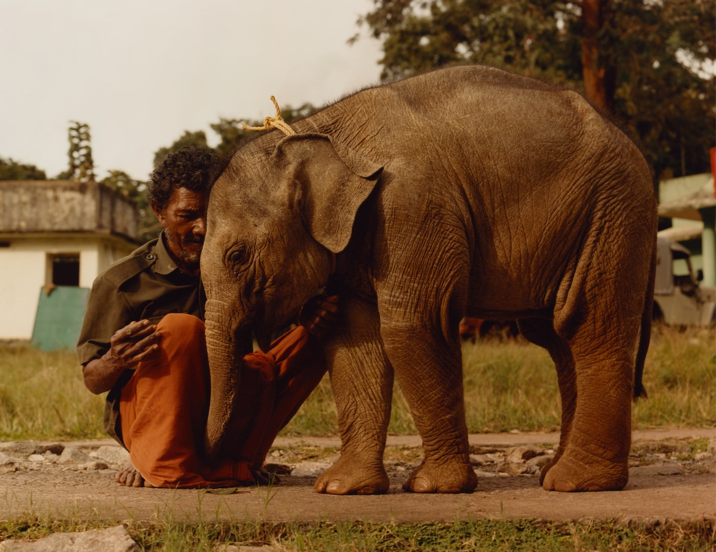 A study of human and animal habitats