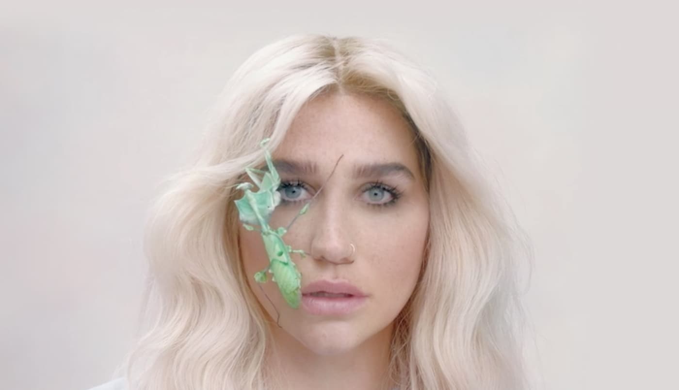 Screen Shot 2018-08-10 at 11.15.23 AM