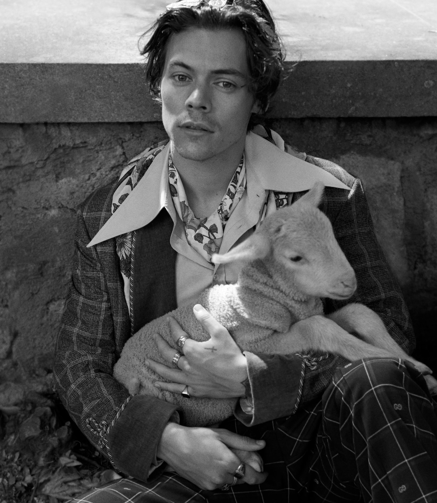 gucci cruise 2019 campaign harry styles glen luchford 