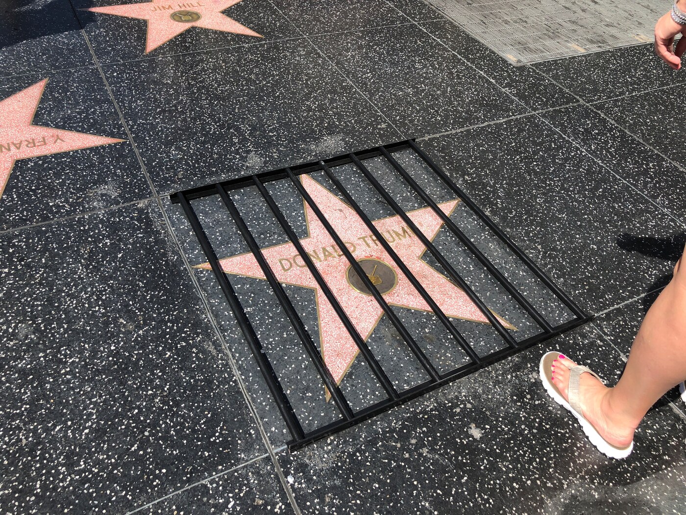 Donald Trump&#39;s Star behind Bars, Plastic Jesus