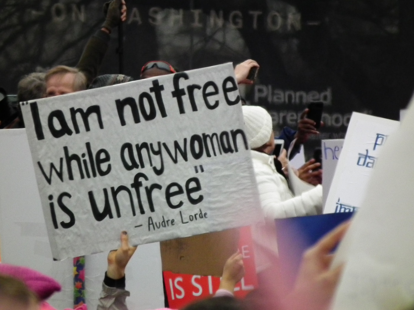 Audre Lorde quote at Women's March