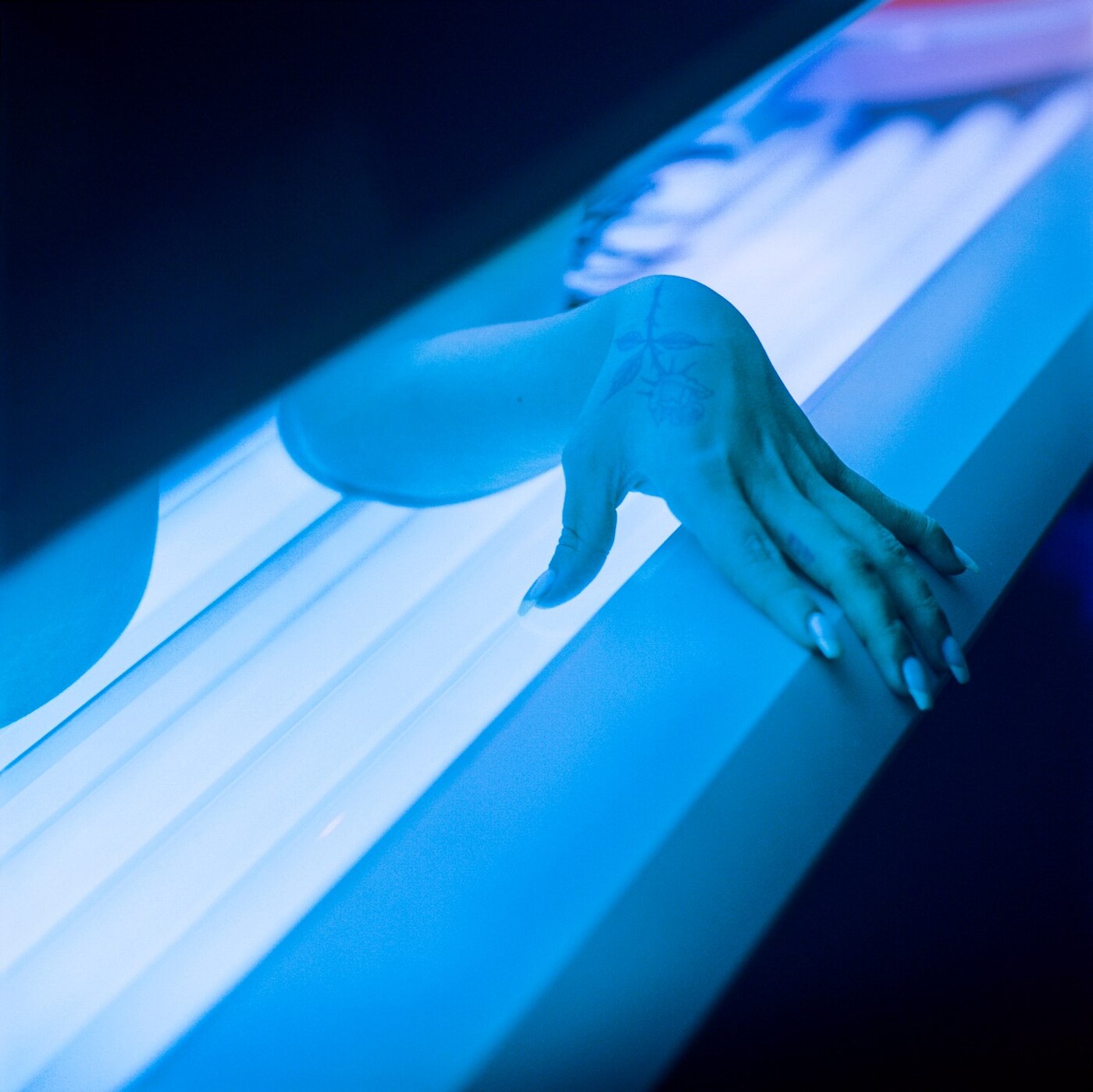 Luisa Opalesky Beauty Trilogy