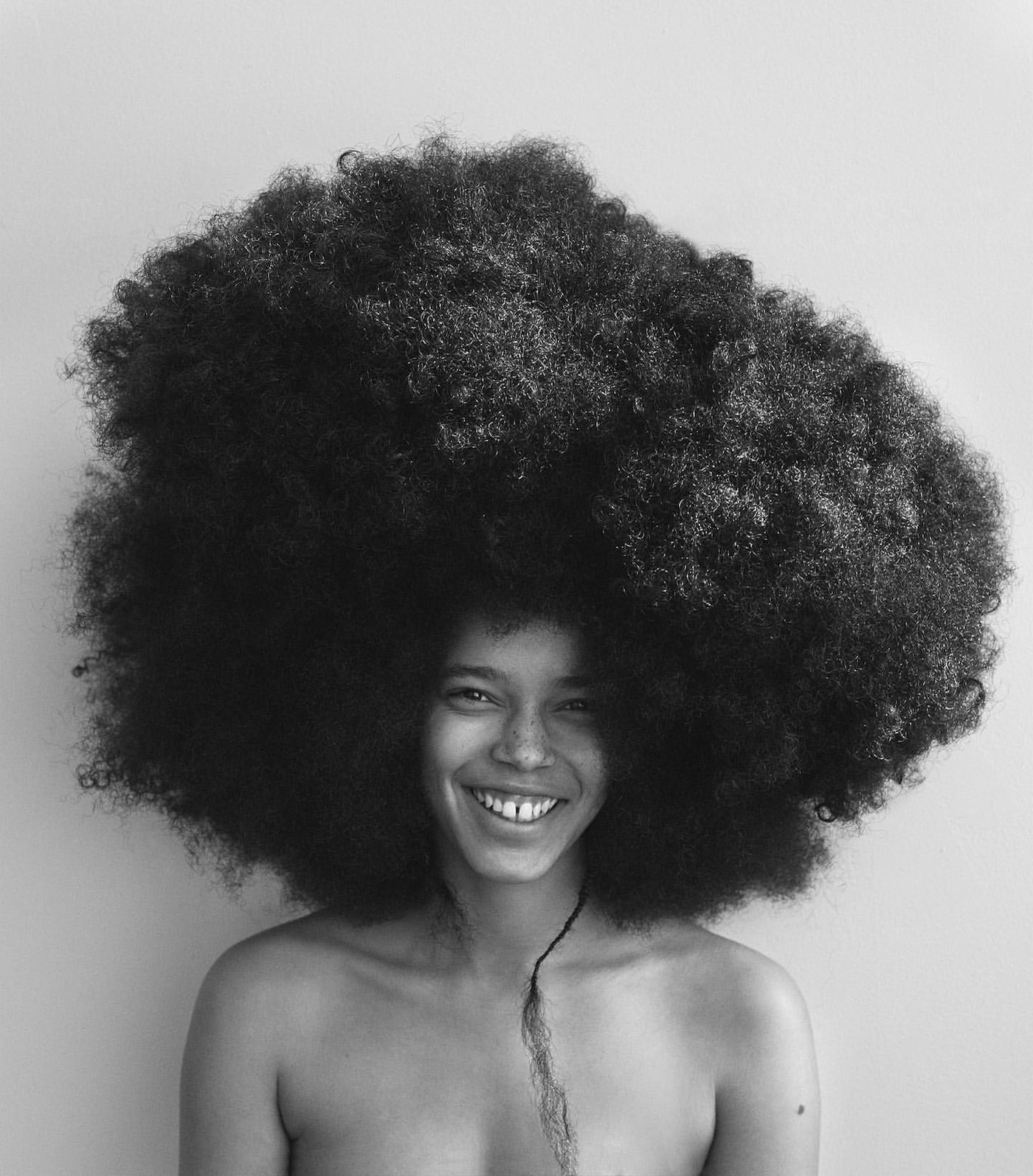 hairtest edward lampley new york hair book 