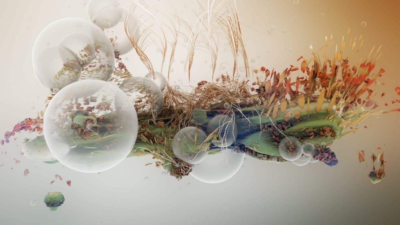 Bjork Illustrations Digital Art