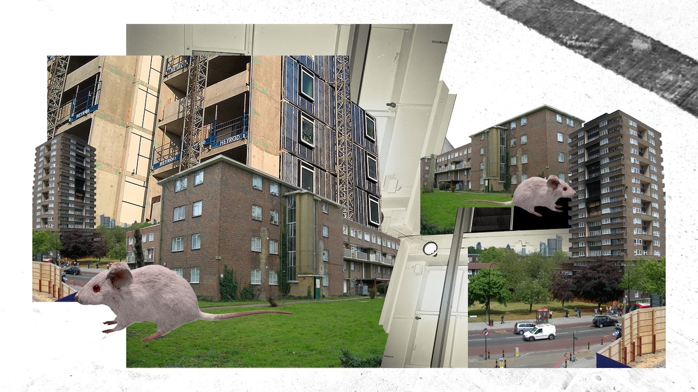 Landlord housing horror stories