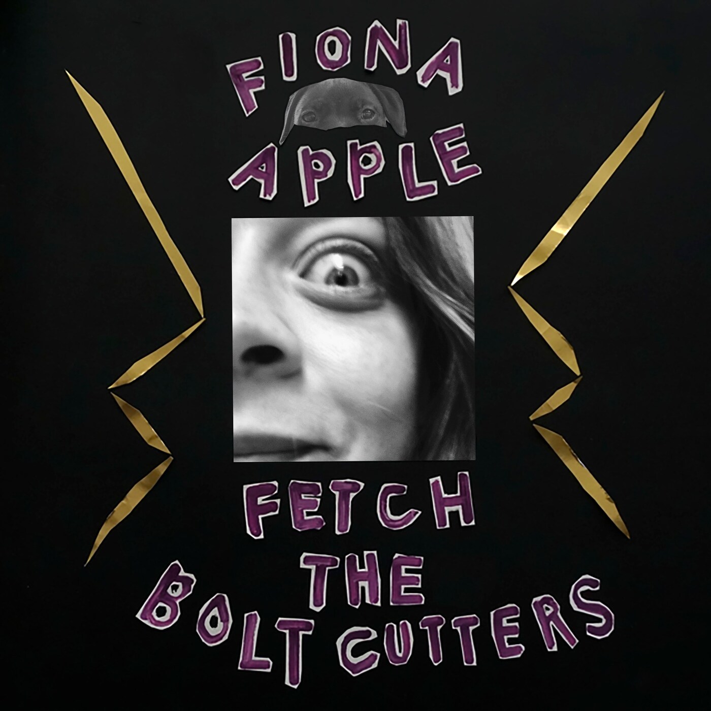 Fiona Apple - Fetch the Bolt Cutters cover art