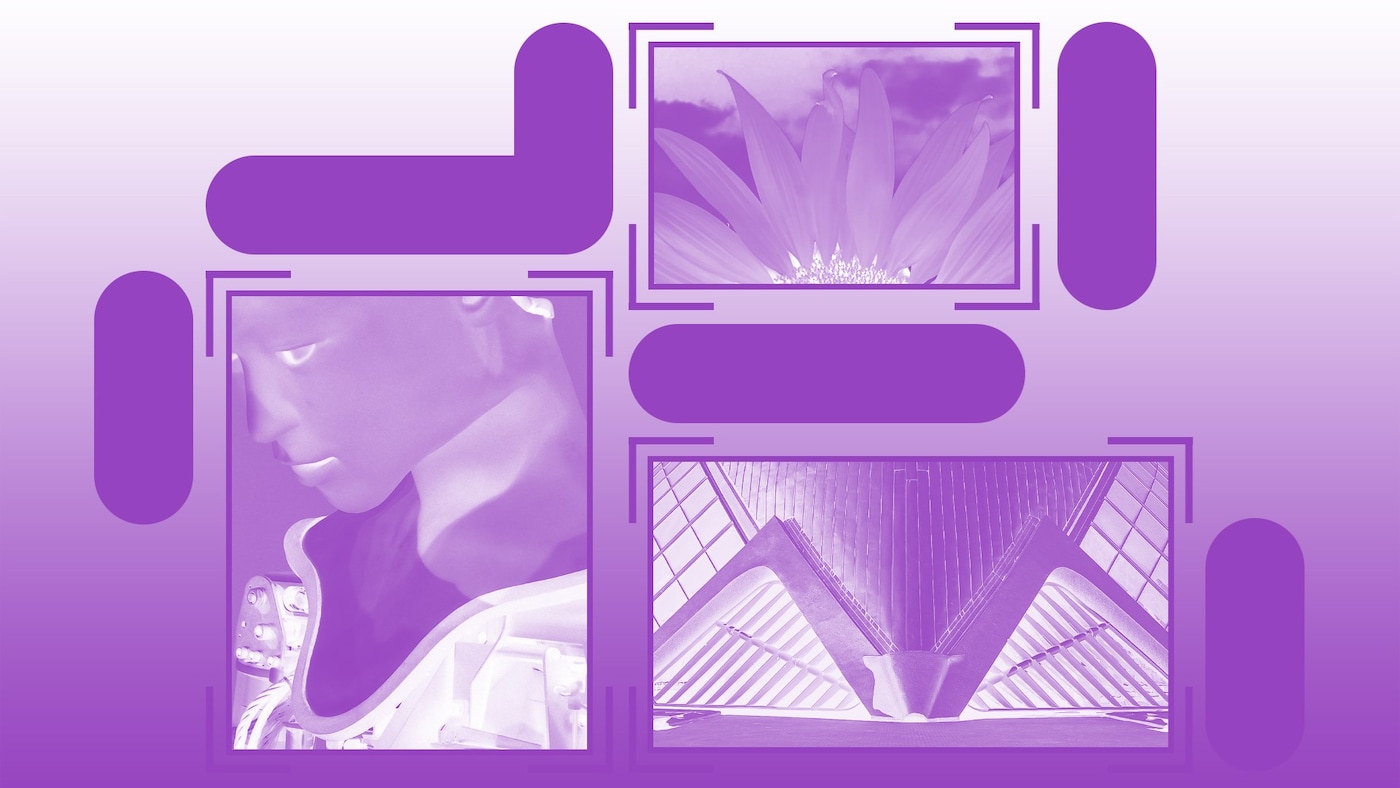 Monomass influence report