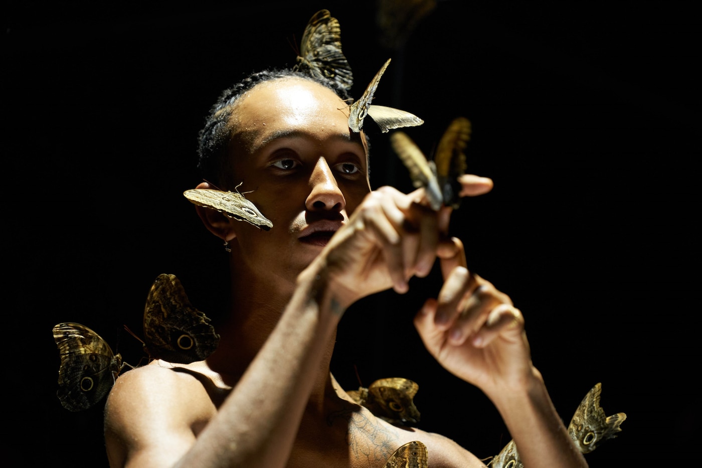 Miles Greenberg, LEPIDOPTEROPHOBIA (2020)