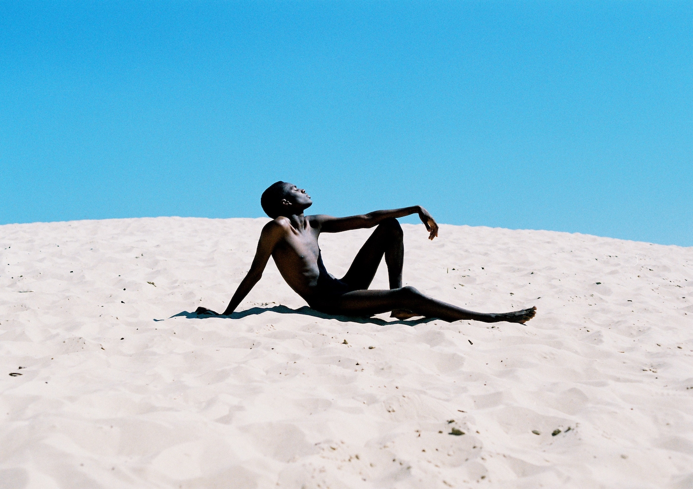 Marcus Riggs, Again, again, I rise (2020)